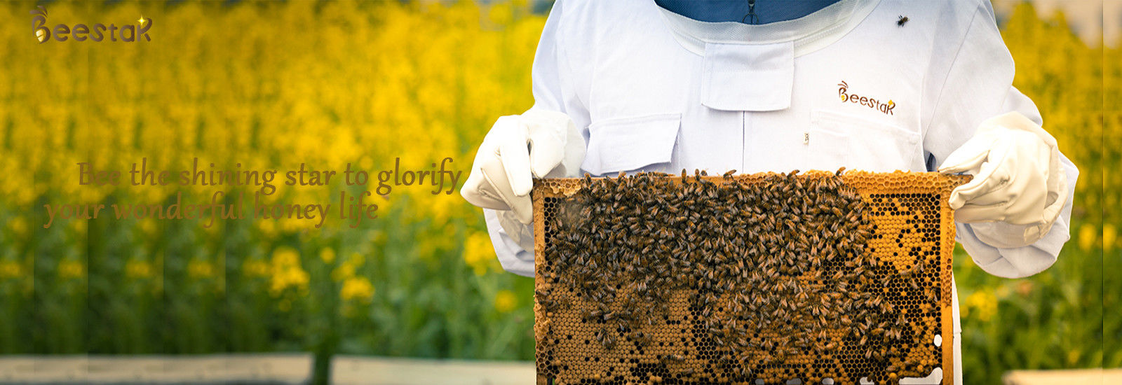 Qualität Reines natürliches Bienenwachs usine