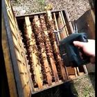 Wieder aufladbares Lithium-elektrischer Bienen-Schüttel-Apparatentferner