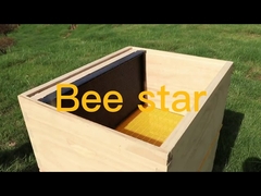 Langstroth Bausatz für unmontierte Bienenkasten aus Holz für Imkerei