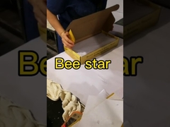 Einführungsvideo zur Herstellung von reinen, natürlichen Bienenwaben