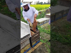 Großhandel 100% natürlicher Bienenhonig