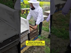 Großhandel Hochwertige 100% natürliche reine Buschwald Honig ohne Zusatzstoffe Natürliche Bienenhonig