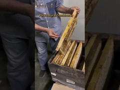 250 g Manuka Honig MGO 100+Zertifiziert 100% reiner Neuseelandischer Manuka HonigNaturlicher Bienenhonig