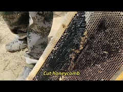 Großhandel Hochwertige 100% natürliche reine Buschwald Honig ohne Zusatzstoffe Natürliche Bienenhonig