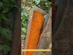 natürlicher Bienenhonig