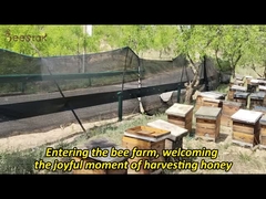 Großhandel 100% natürlicher Bienenhonig