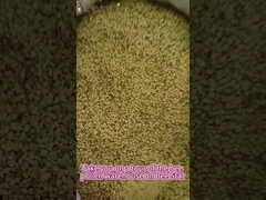 Natürliche Nahrung Frisch gemischtes Pollen Roh Bienenpollen fettarm für Menschen oder Bienen