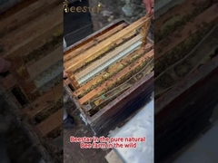 Natürliche süße reine Roh-Mehrblumen-Honig Natürliche Bienenhonig Biologische Polyflower Honig