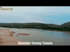 250 g Manuka Honig MGO 100+Zertifiziert 100% reiner Neuseelandischer Manuka HonigNaturlicher Bienenhonig