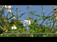 Bienenfrüchte Milch und Bienenmilch Frische Bienenfrüchte Bienenfrüchte Bienenfrüchte Bienenfrüchte Bienenfrüchte Bienenfrüchte Bienenfrüchte Bienenfrüchte Bienenfrüchte Bienenfrüchte Bienenfrüchte Bienenfrüchte Bienenfrüchte Bienenfrüchte Bienenfrüchte B