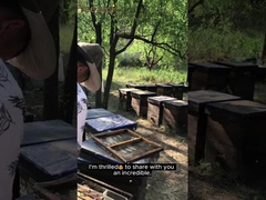 Großhandel Hochwertige 100% natürliche reine Buschwald Honig ohne Zusatzstoffe Natürliche Bienenhonig