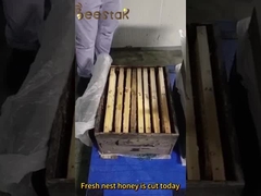 Großkörnige Vergewaltigungspollen Honig Rohbienenpollen für Menschen und Bienen