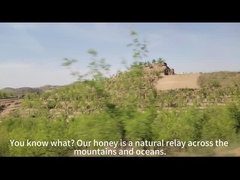 Manuka-Honig UMF10+(250g) natürlicher Bienenhonig aus Neuseeland