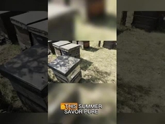 Großkörnige Vergewaltigungspollen Honig Rohbienenpollen für Menschen und Bienen