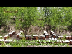 Beestar frischer natürlicher Ciderhonig ohne Zusatzstoffe natürliche Bienenhonig roher Honig für die Gesundheitsversorgung