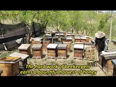 Hot-Selling Manuka Honig 100% Natur MGO100+ UMF5+ Natur Bienenhonig aus Neuseeland