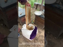 Manuka-Honig UMF10+(250g) natürlicher Bienenhonig aus Neuseeland