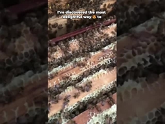 Natürlicher reiner Bienenhonig, frei von Mehrblumenhonig, 100% reiner roher Honig