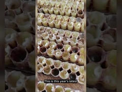 Flüssiges Gold Reines Natürliches Royal 10-HDA Frische Gesunde Pflege Gelée Royale 1000mg Königin