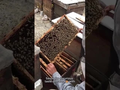 100% reiner natürlicher Bio-Bienenhonig mit unverwechselbarem Aroma und Farbe