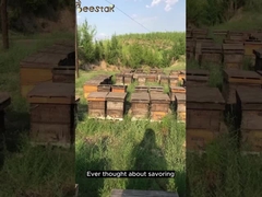 Wir bieten nur 100% natürlichen Honig an.