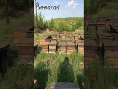 reiner, natürlicher Honig, ohne Zusatzstoffe, bei niedriger Temperatur konzentriert