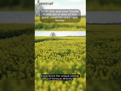 100% reiner, roher Honig, natürlicher Rapshonig, natürlicher Bienenhonig ohne jegliche Zusätze, gesunde Lebensmittel