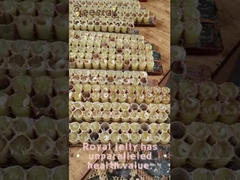 10-HDA Organisches frisches Gelée Royale Reines Gelée Royale für die Gesundheitsvorsorge