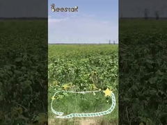 100% reines Mischbienen-Blütenstaub-Pulver