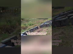 Natürliche Mehrblüten-Bienenpollen-Granulate, Lebensmittelqualität, lose