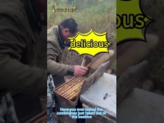 500g Natürlicher Wabenhonig Mehrblütenhonig Hellgelb Lebensmittelqualität