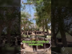 Beestar Frischer Natürlicher Honig Ohne Zusatzstoffe Naturbelassener Bienenhonig Rohhonig Für die Gesundheit