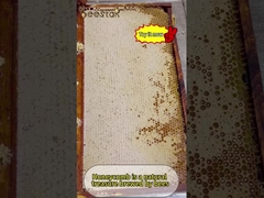 Natürlicher Kammhonig ist nicht nur köstlich, sondern auch reich an verschiedenen Nährstoffen