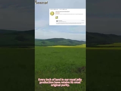 Beestar Organic Fresh Royal Jelly For Human Health, widely praised