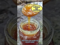 500g natürlicher Kammhonig, mehrblütiger, hellgelber, Lebensmittelqualität, lecker und gesund