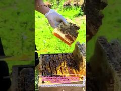 100% natürlicher Zitrushonig reiner Rohhonig gesunde Lebensmittel natürlicher Bienenhonig zum Großhandel