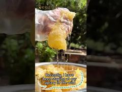 100% natürlicher Honig Reiner Rohhonig Gesundes Essen Natürlicher Bienenhonig für den Großhandel