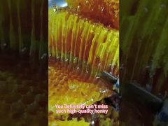 Roh Honig Natürliche Bienenhonig aus Natürlichen Bienenstöcken