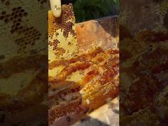 Haben Sie sich jemals gefragt, wie die exquisiteste, unberührteste Süße der Welt wirklich schmeckt?