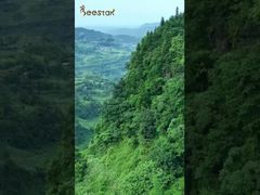 Nehmen Sie uns mit zu unserer Bienenfarm tief in den Bergen und kommen Sie der Natur nahe