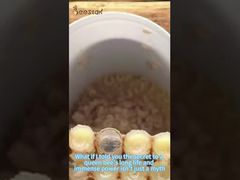 Weißt du, wie Gelée Royale gewonnen wird? Nach dem Lesen wirst du es verstehen.