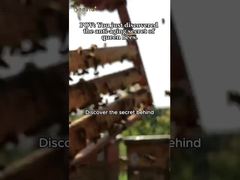 Natürliche 10-HDA-starke Bio-Frische Königsmischung