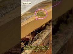 Propolis eignet sich für die tägliche Gesundheitsvorsorge und -pflege. Es ist ein 