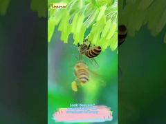 Schau dir diese fließende Textur an. Das ist wahrlich die 