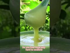 Großhandel hohe 10-HDA Gelée Royale Tablette mit Aluminiumbeutelverpackung