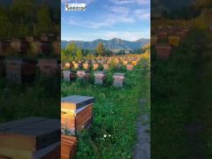 Die gesamte Berglandschaft hat sich in einen süßen und erfrischenden Geschmack auf der Zungenspitze verwandelt.