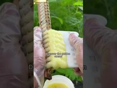 Wenn Sie die Vorteile von Gelée Royale für den menschlichen Körper kennen, wird es Ihnen sicherlich gefallen.