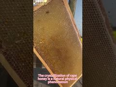 Ein genauerer Blick: Honigkristallisierung von Schneecreme ohne Zusatzstoffe Honig Kristall Honig Naturhonig