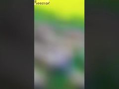 Wir stellen Ihnen Pure Natural White Cream Honey Snow Cream Honey vor