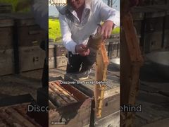 View Wholesale 100% Natural Bee Honey High quality Pure Raw Organic Traditional Herb Honey Demo